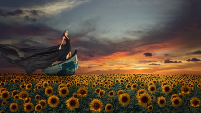 LM Spilsbury launching my writing career: triumphant woman sailing over a field of sunflowers