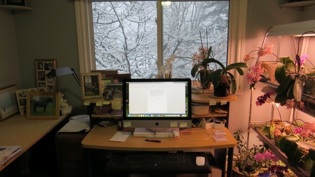 LM Spilsbury's desk in a time of transition winter 2020