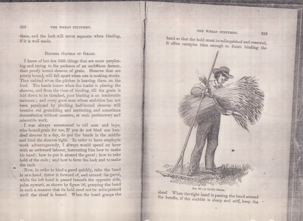 LM Spilsbury page from The Wheat Culturist published 1868 used in my early writing