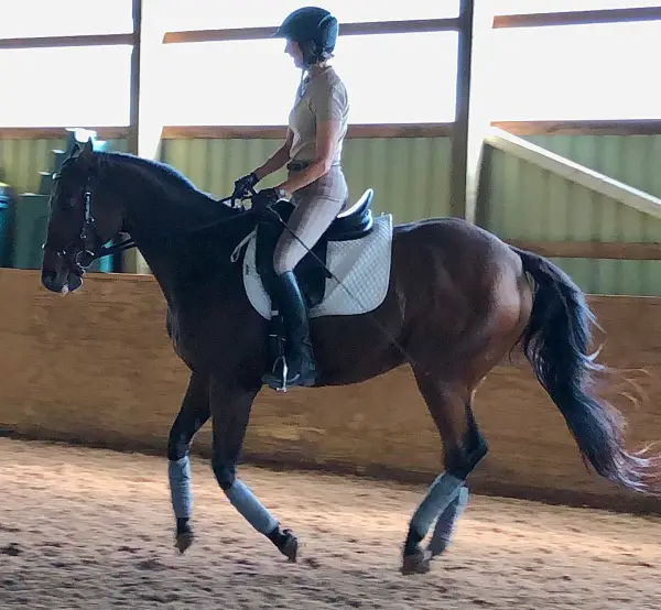LM Spilsbury riding ex-racehorse Larry